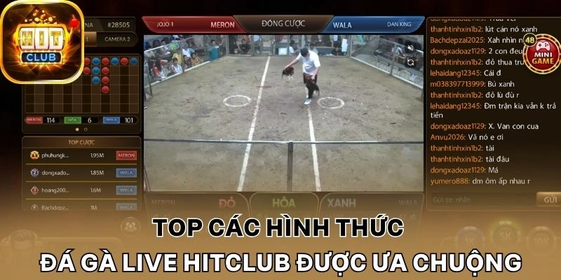 Top các hình thức đá gà live Hitclub được ưa chuộng